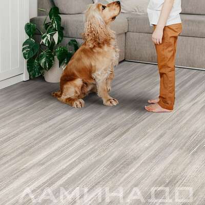 Линолеум Ideal коллекция Glory Modest 1