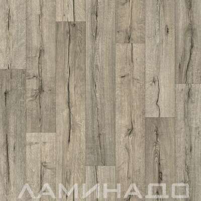Дуб Премьер 895