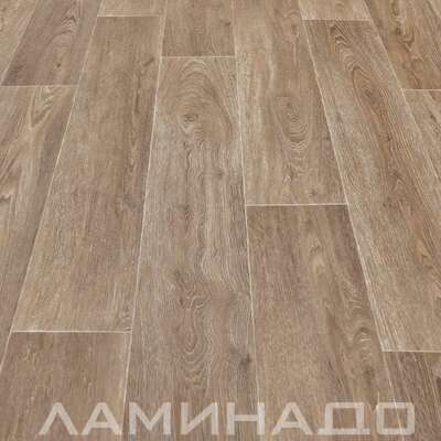 Дуб Шервуд 544