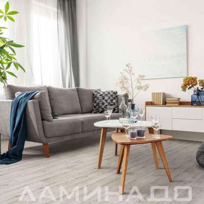 Линолеум Juteks Magnit Gotic Oak 1