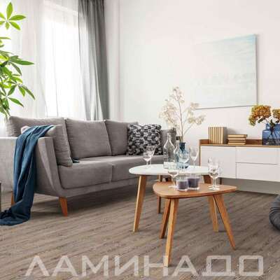 Линолеум Juteks Magnit Gotic Oak 2