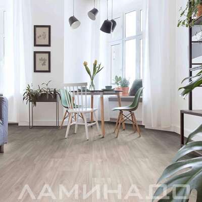 Линолеум Juteks коллекции Master HAVANNA OAK 11 711M фото в интерьере