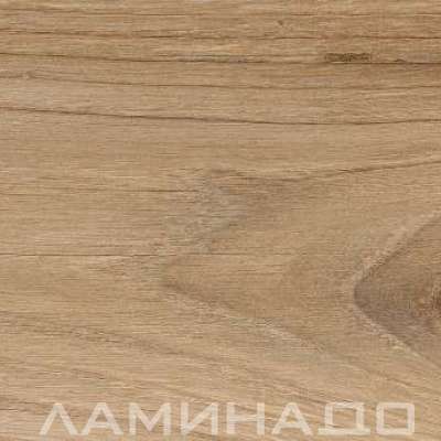 Apricot Honey 754 20х120