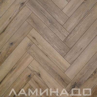 SPC Aberhof Carmelita Vintano 0058