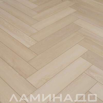 SPC Aberhof Carmelita Miura 2593