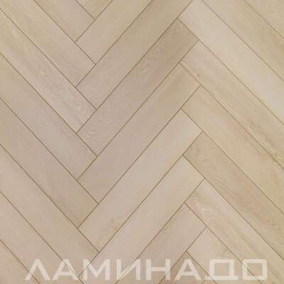 SPC Aberhof Carmelita Miura 2593