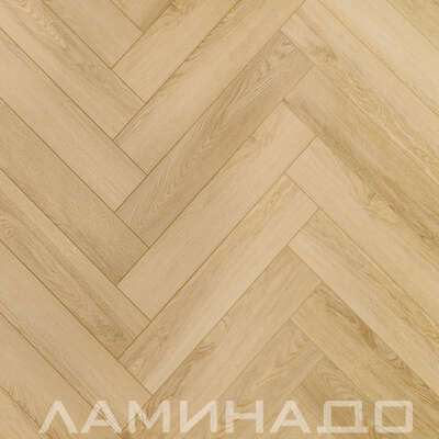 SPC Aberhof Carmelita Modena 2594