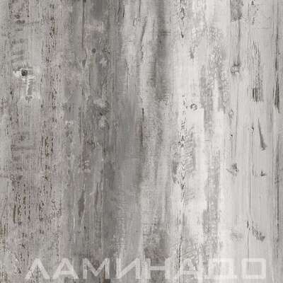 SPC Aberhof Prado Urbino 2746