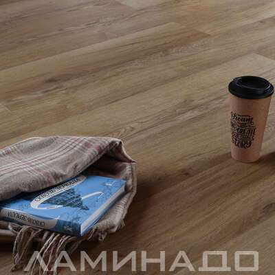 SPC Aberhof Prado Valentano 2983