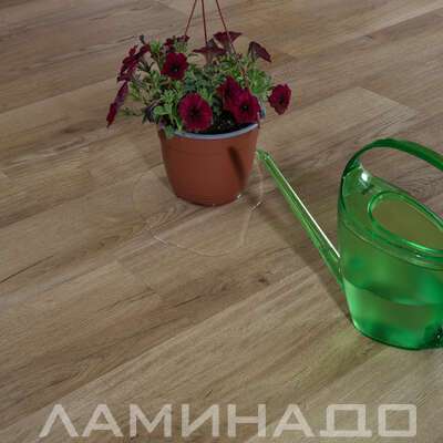 SPC Aberhof Prado Valentano 2983