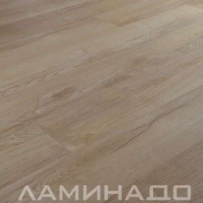 SPC Aberhof Prado Gurino 2982