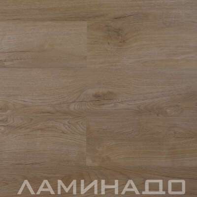 SPC Aberhof Prado Gurino 2982