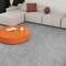 SPC AspenFloor Natural stone NS05-07 Нотр-Дам в интерьере}}