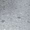 Замковый кварц-винил SPC Floor Bonkeel Tile Grigio Terrazzo}}